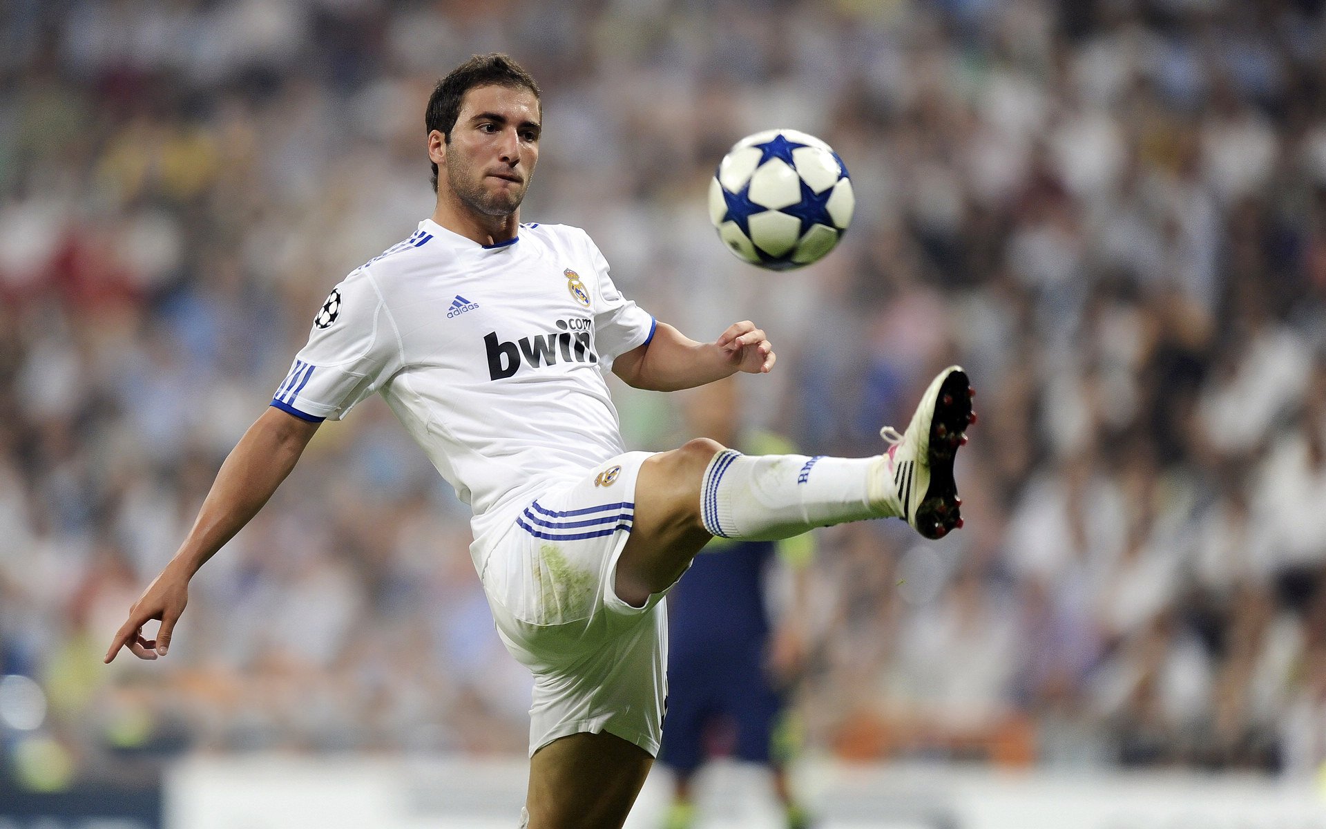 德国队不断突破！，字母哥连续十场比赛得分超过锐不可当再创辉煌时刻的简单介绍